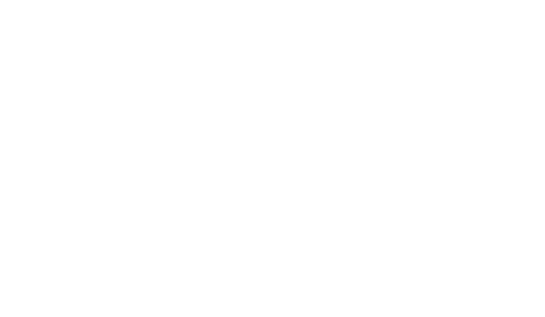 logohead02